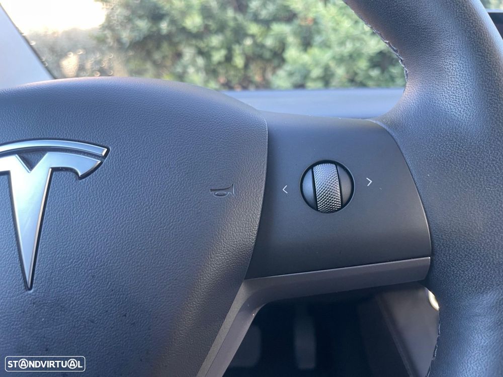 Tesla Model 3 Standard RWD Plus - 21