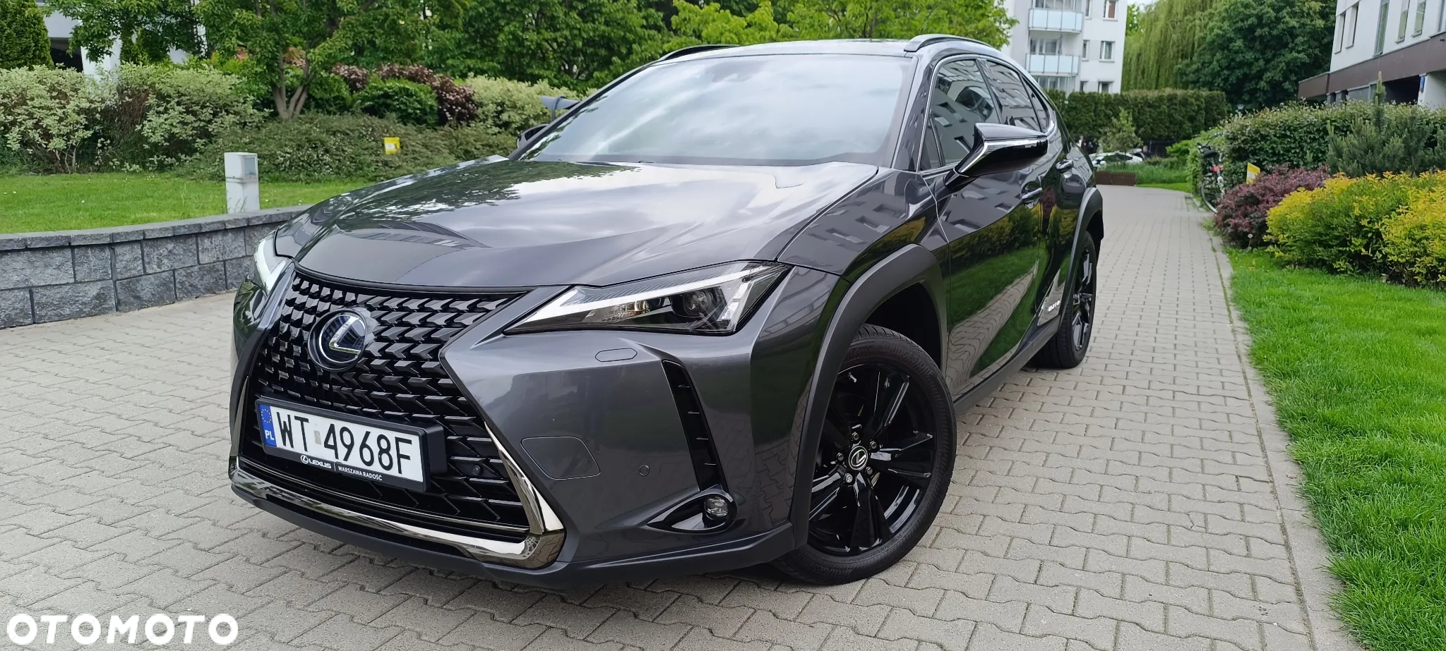 Lexus UX 250h GPF F Impression 2WD - 6
