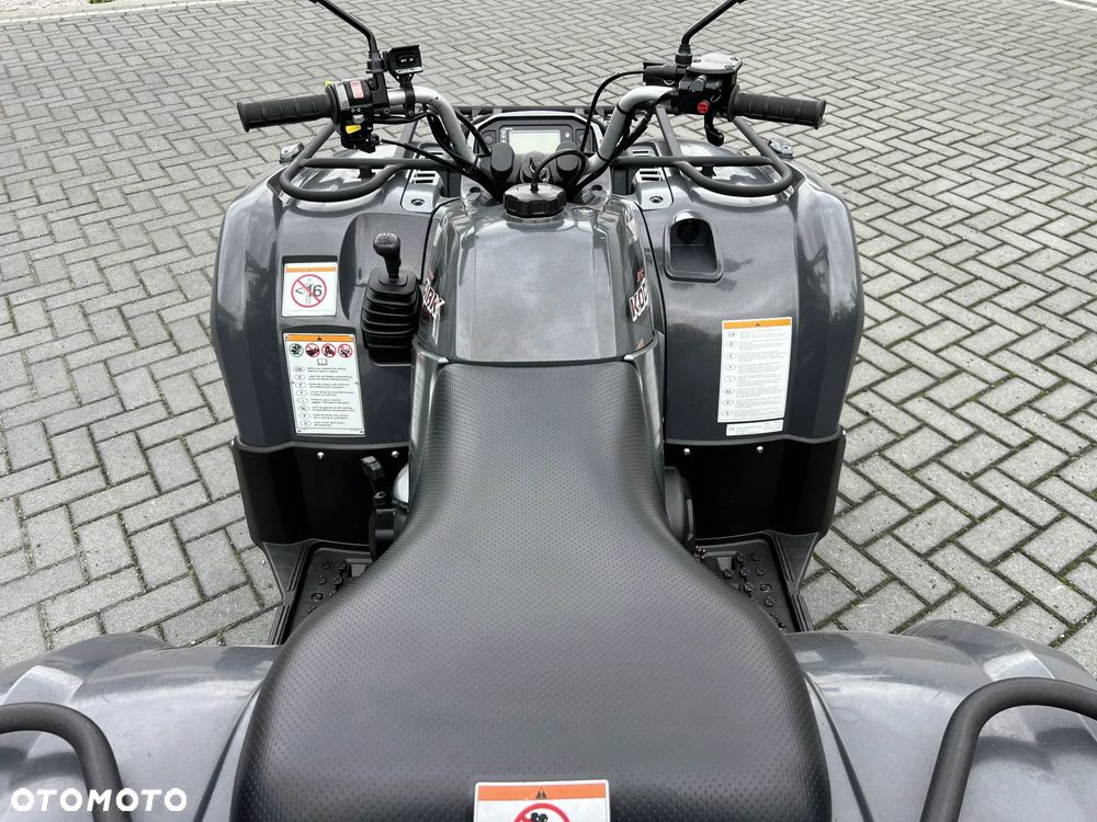 Yamaha Grizzly - 6