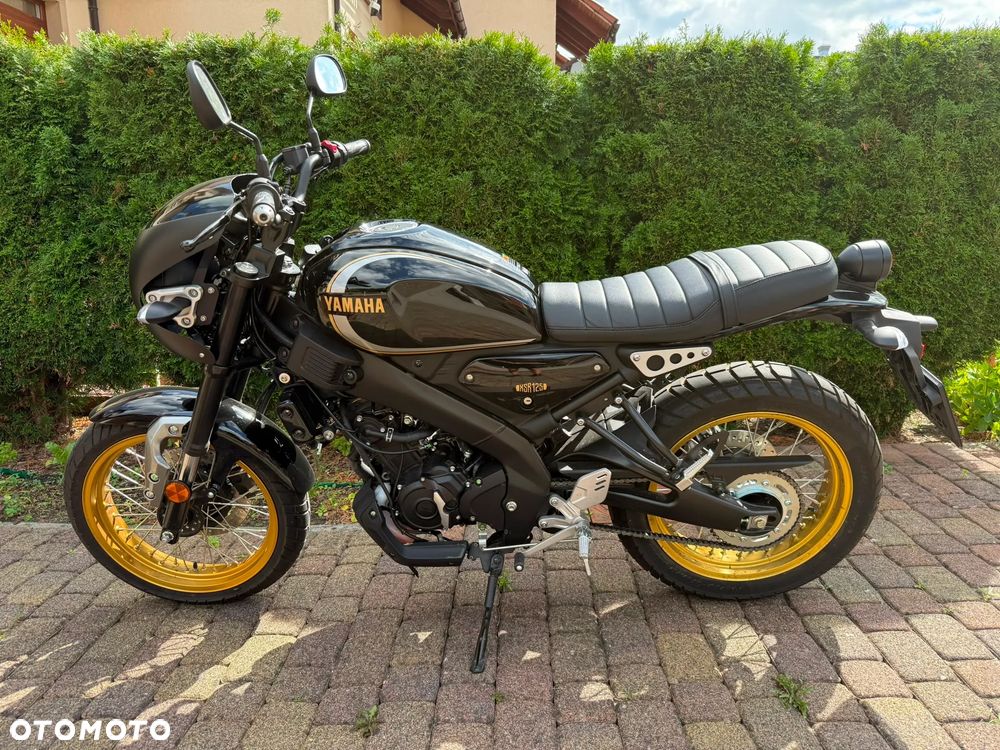 Yamaha XSR - 11