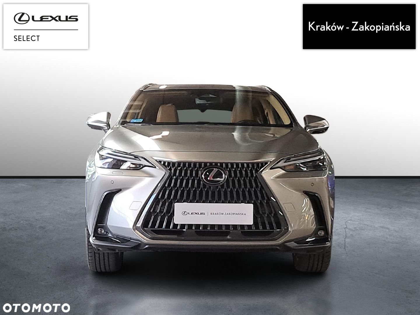 Lexus NX - 2
