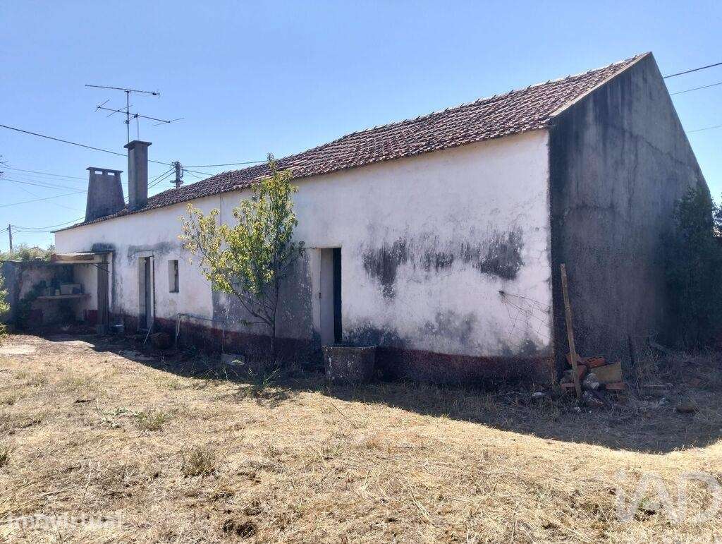 Casa de Campo T2 em Brogueira, Parceiros de Igreja e Alcorochel - Grande imagem: 3/40