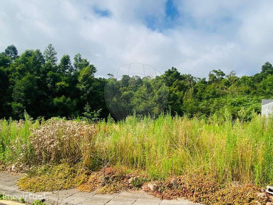 Terreno  para venda - Grande imagem: 2/6