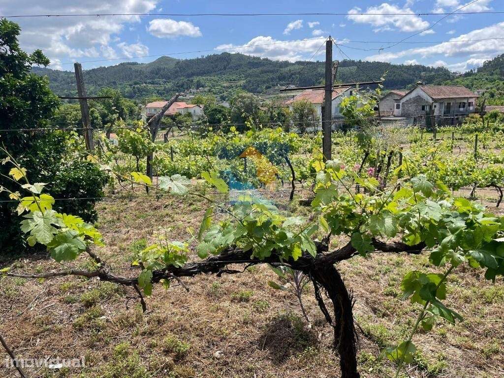 Venda Quinta/Herdade - Grande imagem: 5/11