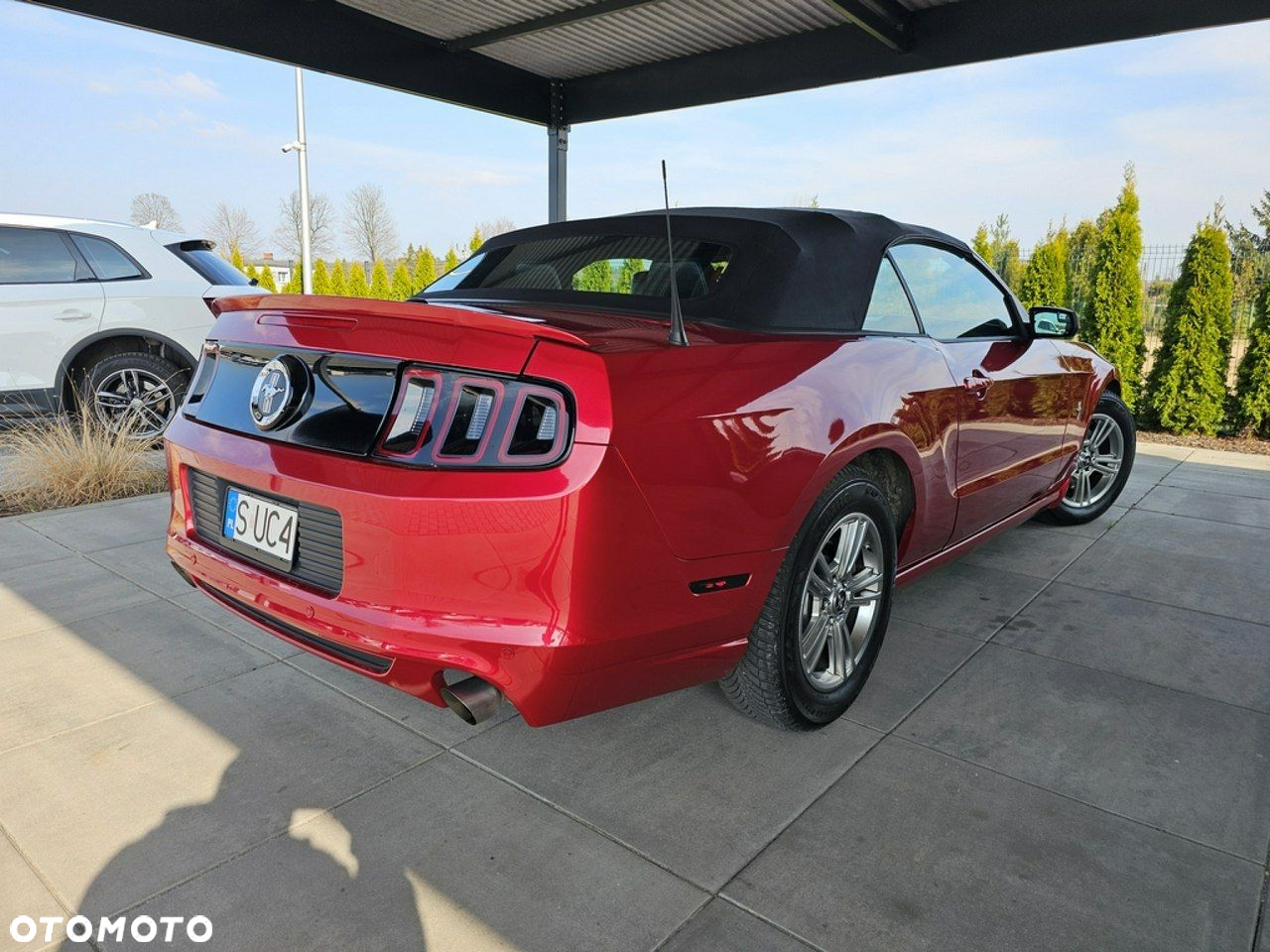 Ford Mustang - 8