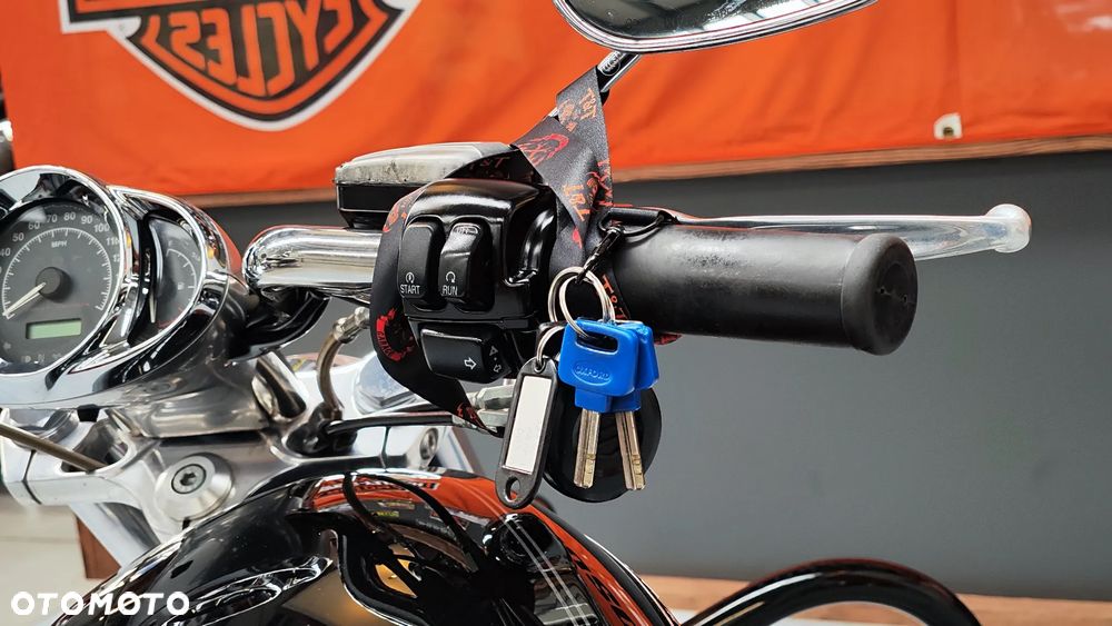 Harley-Davidson Softail V-Rod - 12