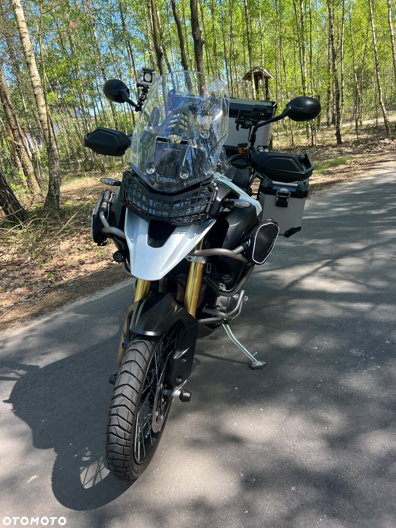 Triumph Tiger - 16