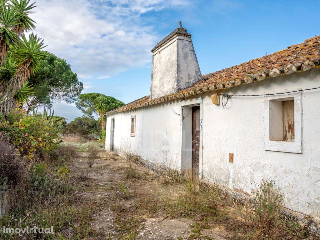 Monte com 4000m2 de lote e ruína, em Melides - Grande imagem: 3/23