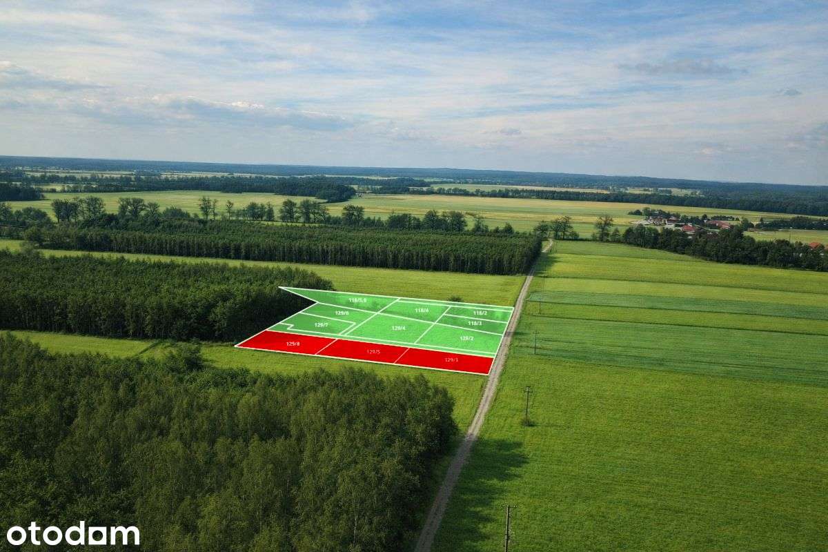 Działki budowlane w otulinie lasu - Pełny obrazek: 5/7