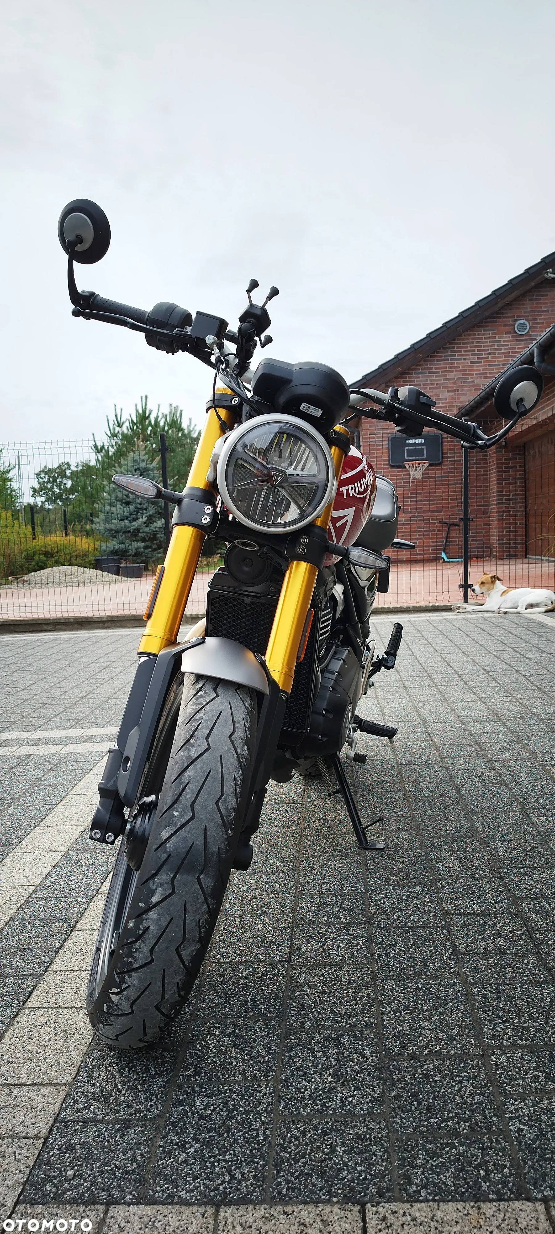 Triumph Inny - 5