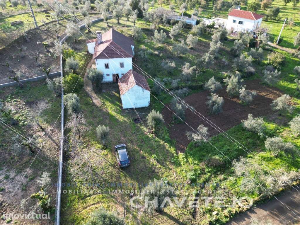 Moradia em Pedra com Carácter, 3 Quartos, Anexo e Terreno para vend... - Grande imagem: 4/38