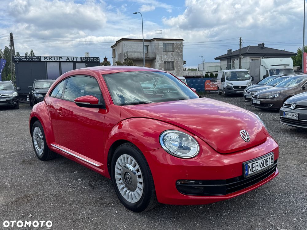 Volkswagen Beetle - 19