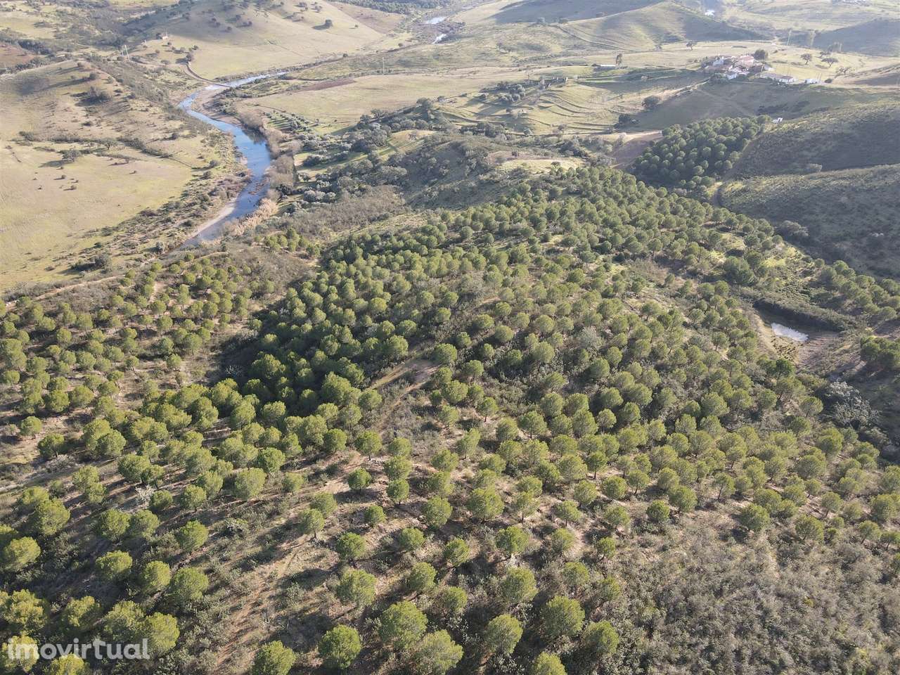 Terrenos rústicos Santa Cruz - Grande imagem: 3/10