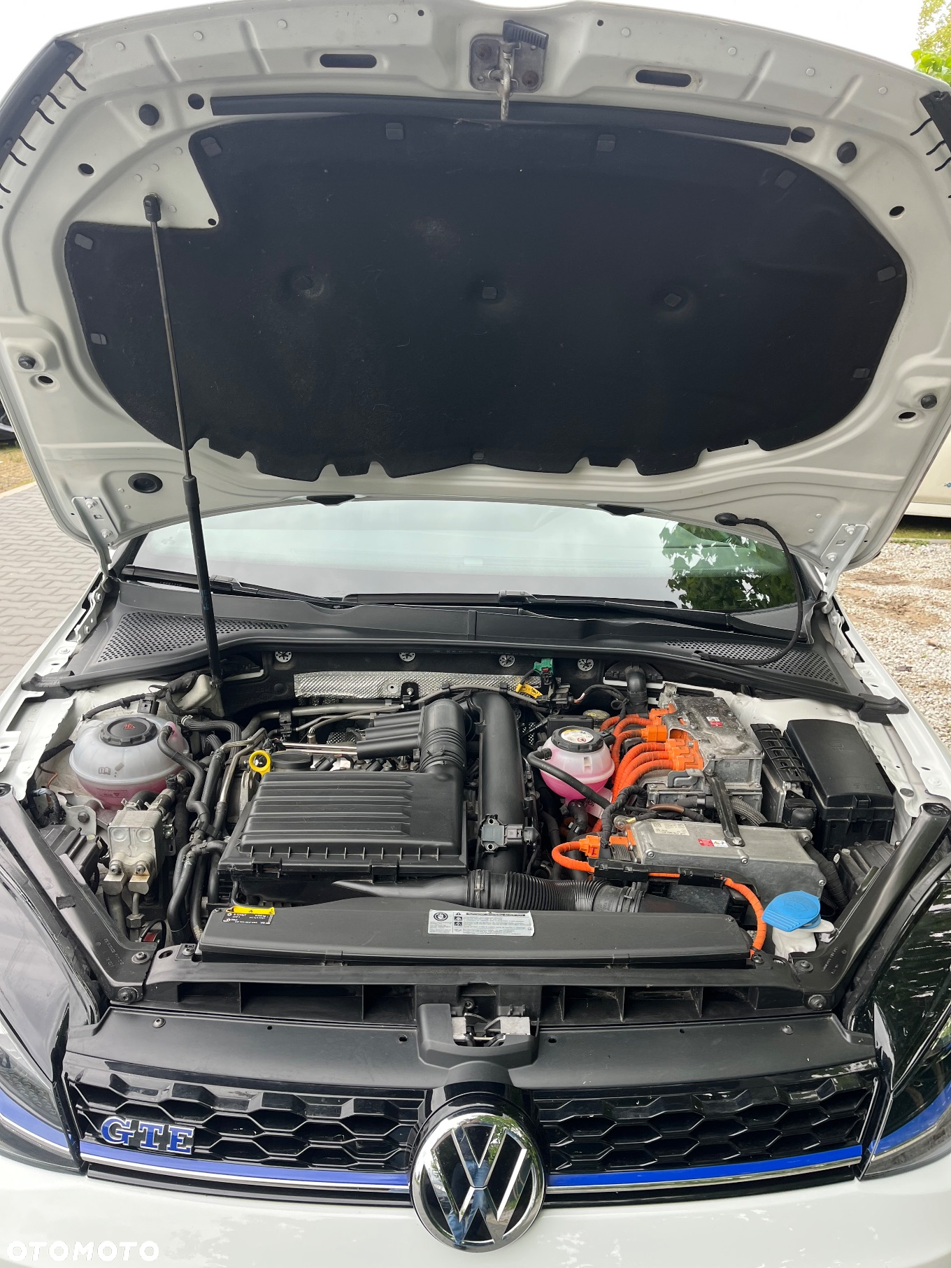 Volkswagen Golf 1.5 eHybrid OPF DSG Edition 50 - 5