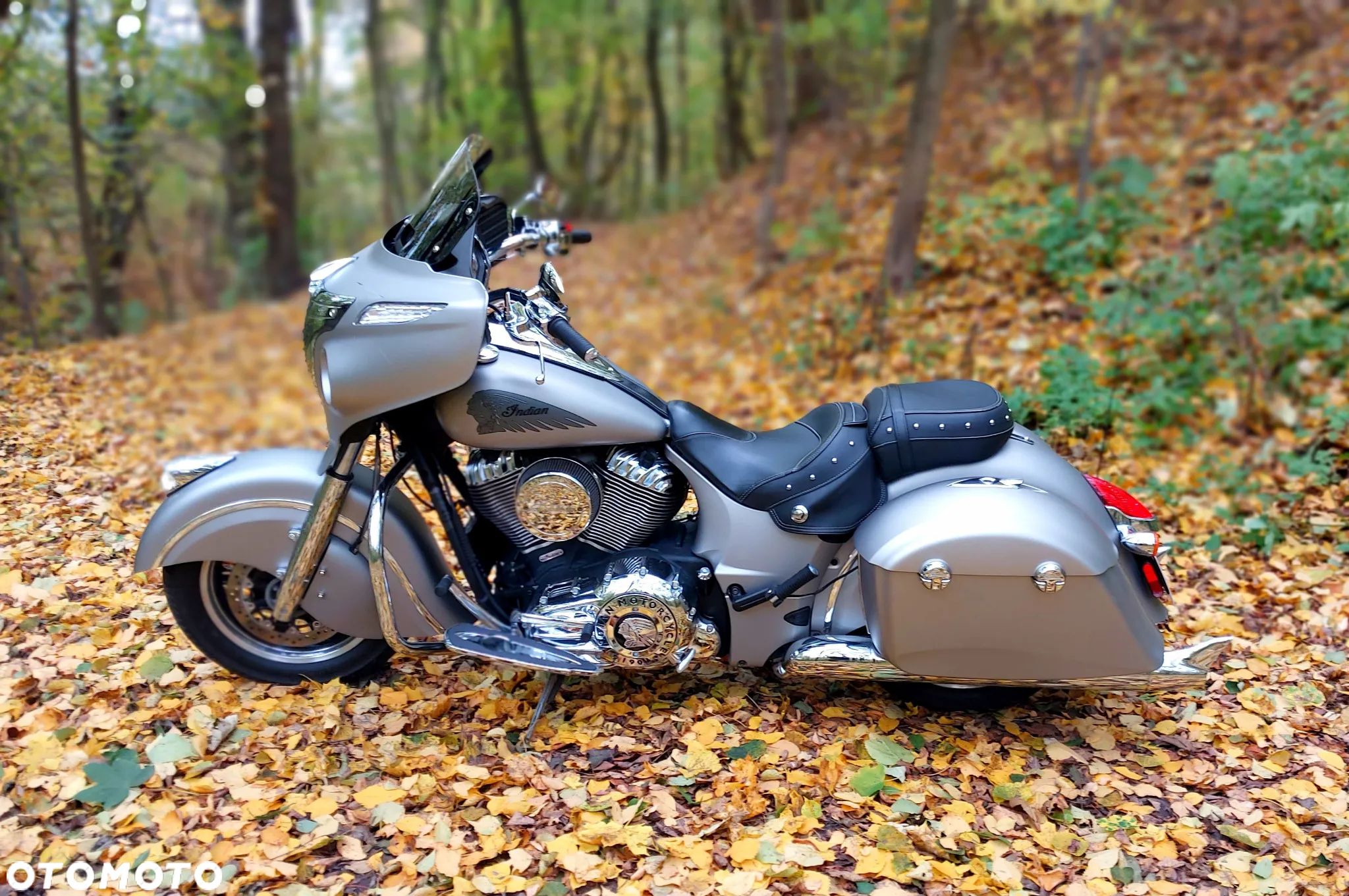 Indian Chieftain - 1