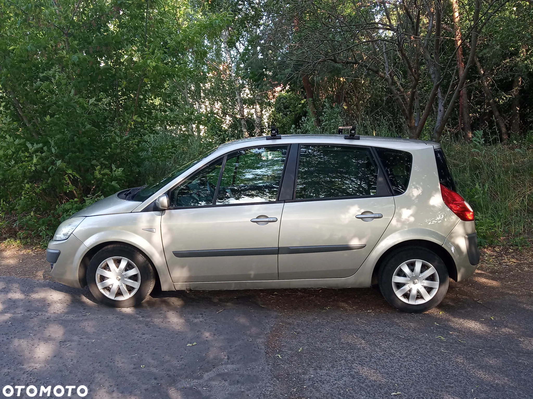 Renault Scenic - 5
