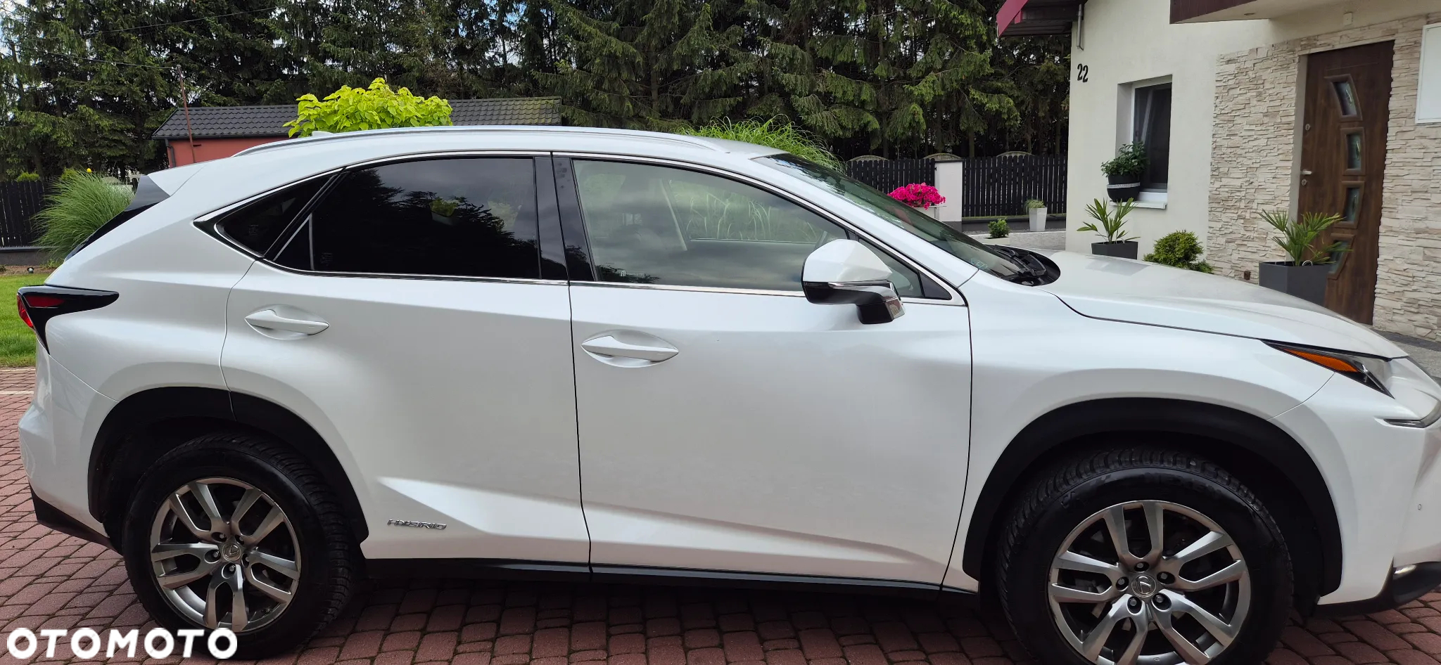 Lexus NX - 5