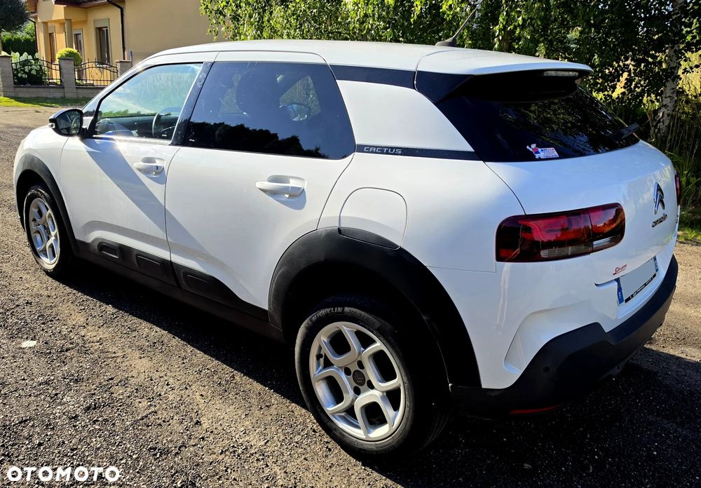 Citroën C4 Cactus PureTech 110 Stop&Start Origins - 13
