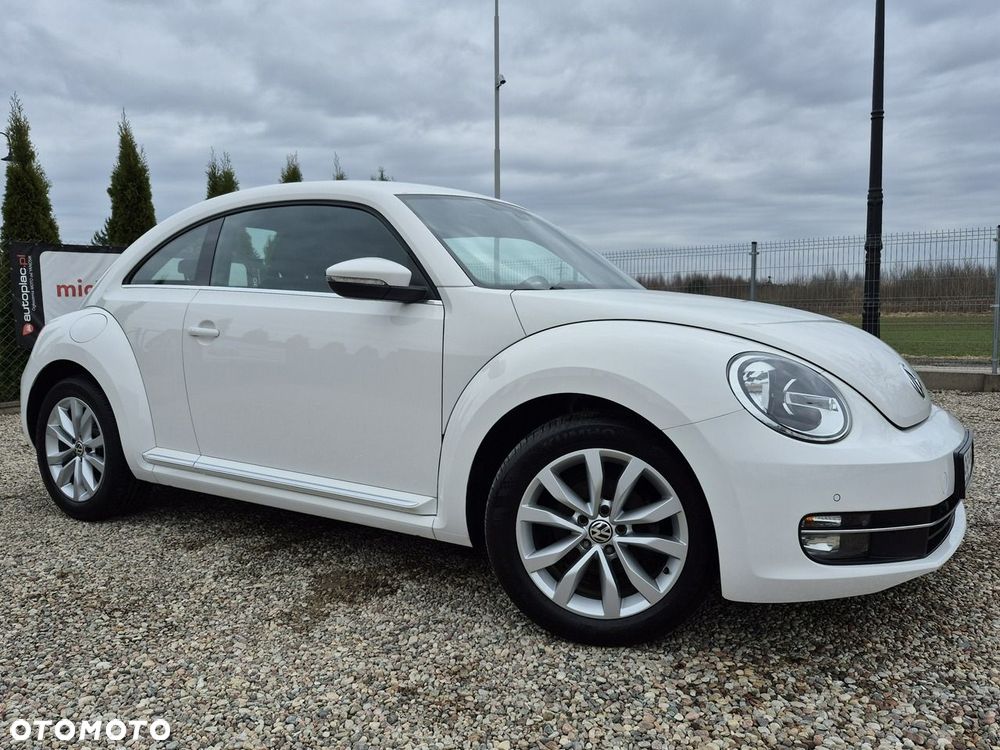 Volkswagen Beetle - 24