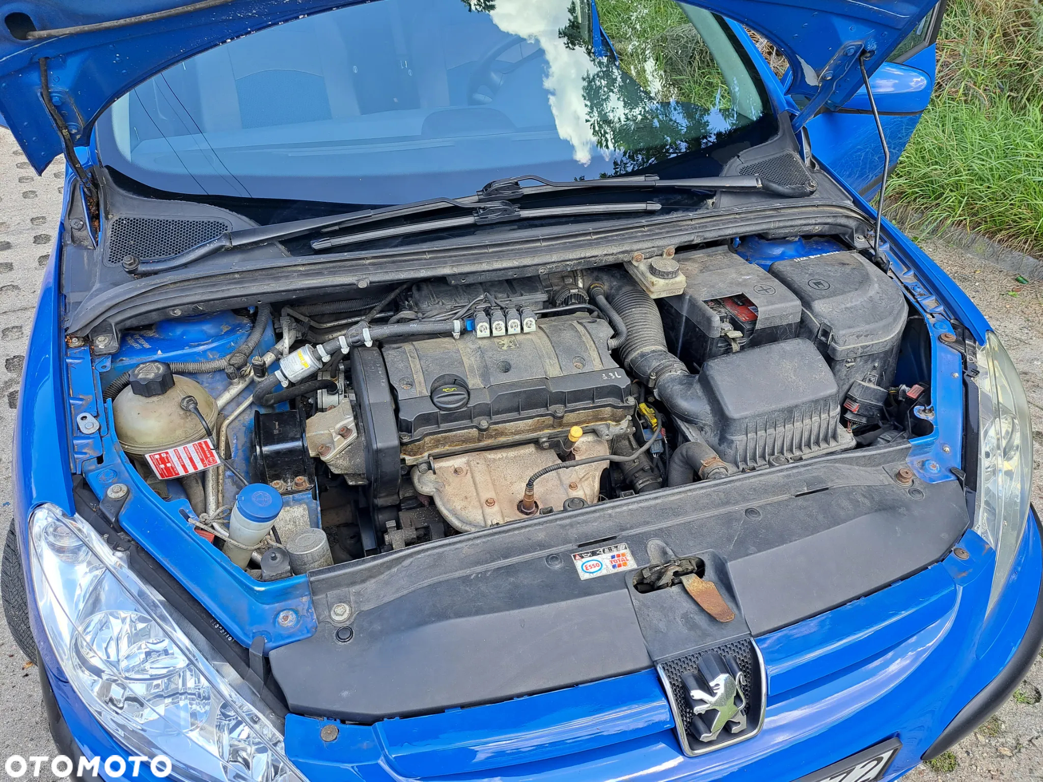 Peugeot 307 - 18