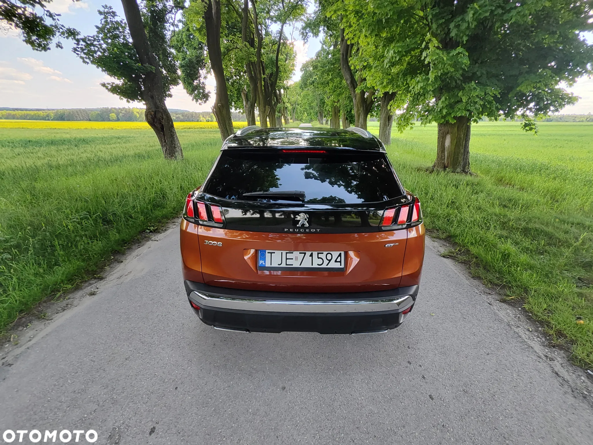 Peugeot 3008 2.0 BlueHDi GT S&S EAT8 - 26