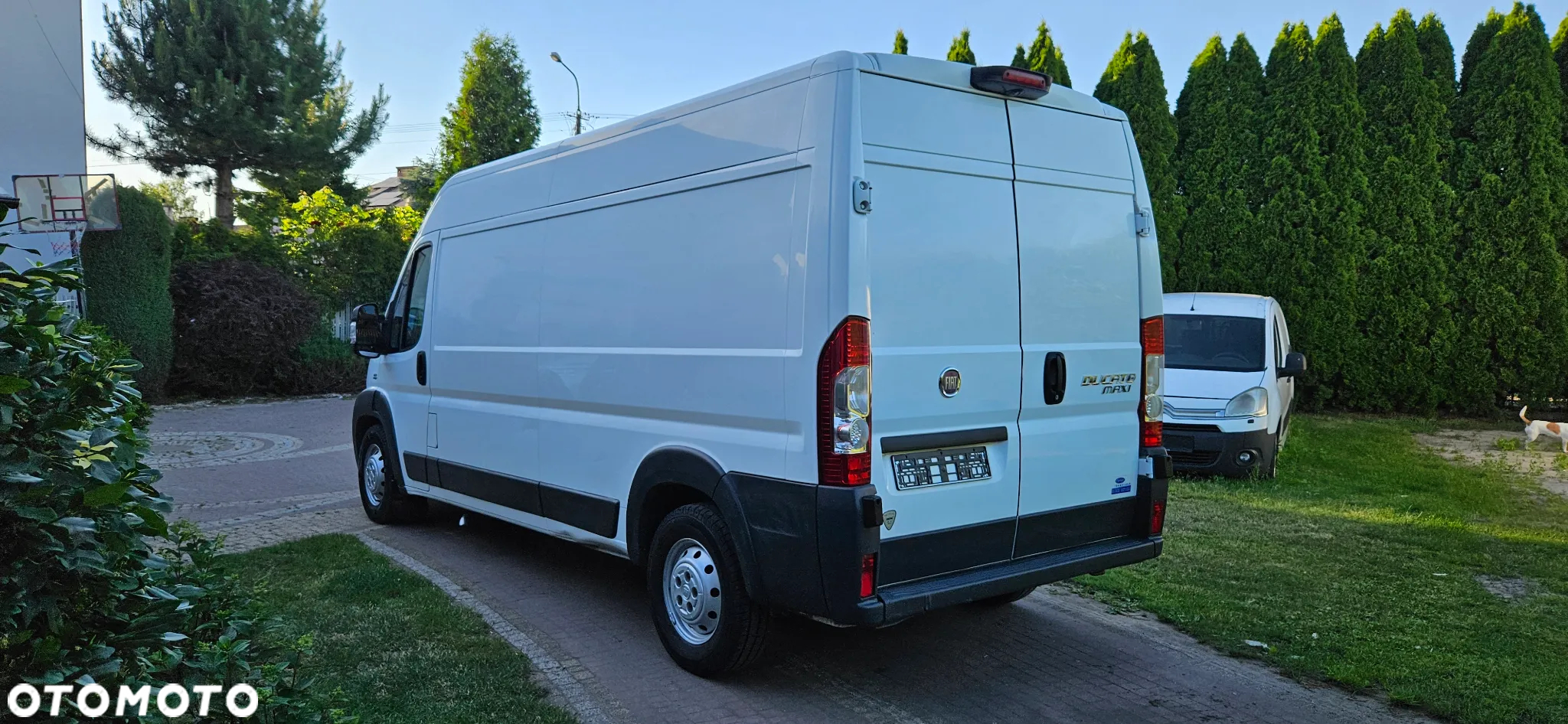 Fiat DUCATO 3.0 JTD MAXI L3 H2 IZOTERMA CHŁODNIA CARRIER + ZASILANIE 230V KLIMA BLASZAK DLUGI - 5