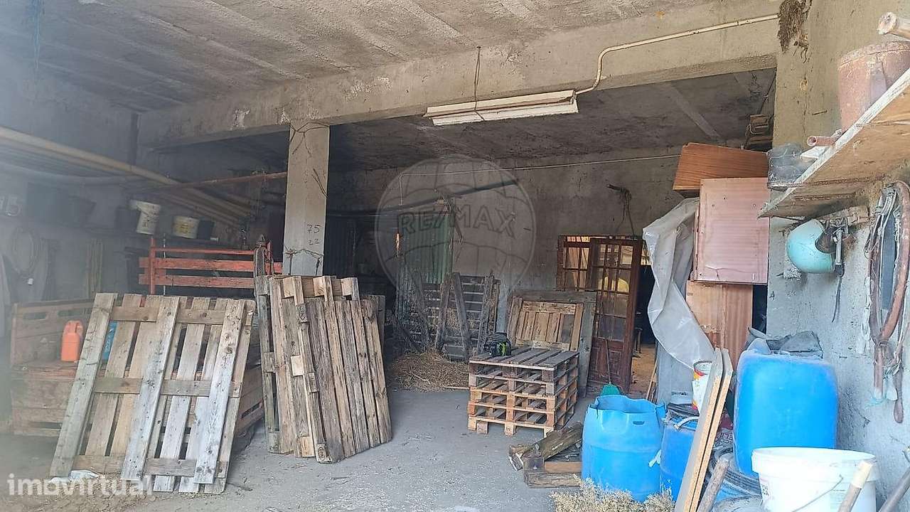 Arrecadação  para venda - Grande imagem: 3/11