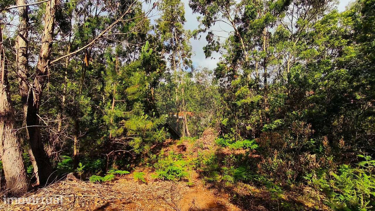 Terreno  para venda - Grande imagem: 5/11