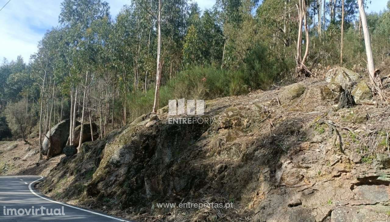Venda Terreno  Vila Cova Penafiel - Grande imagem: 3/10