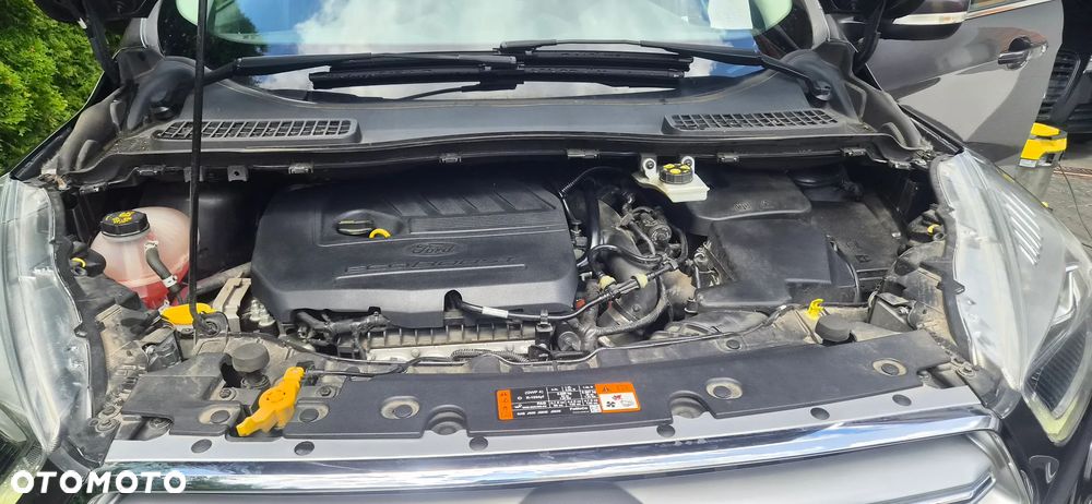 Ford Kuga 1.5 EcoBoost FWD Titanium Plus ASS - 10