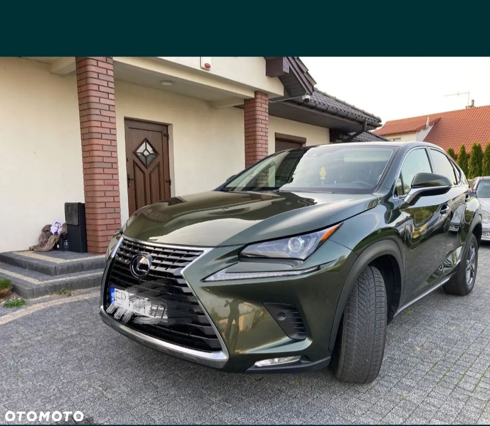 Lexus NX - 13
