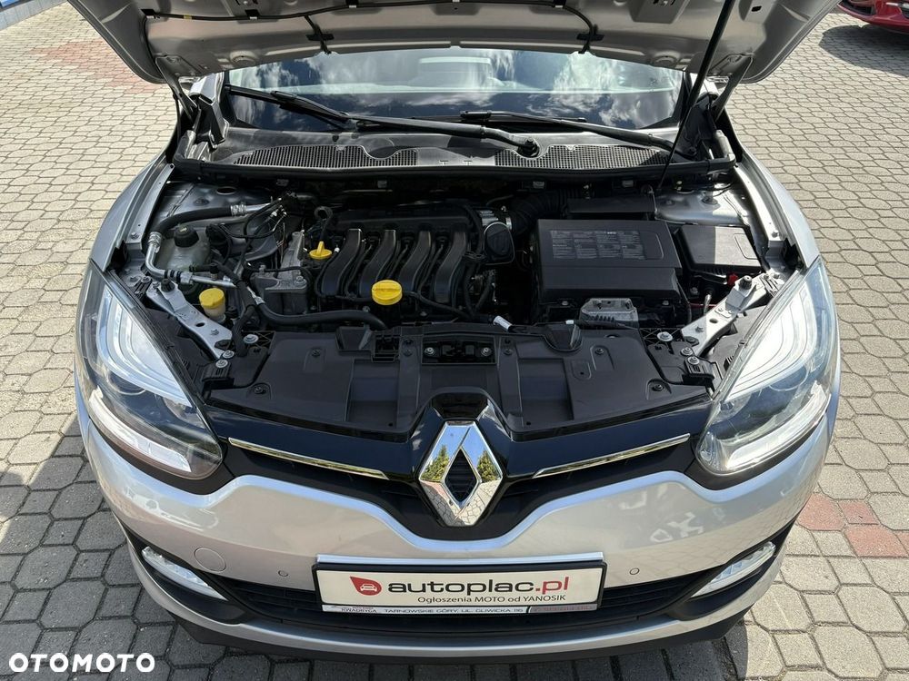 Renault Megane - 29