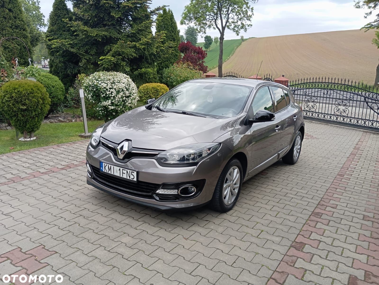 Renault Megane - 1