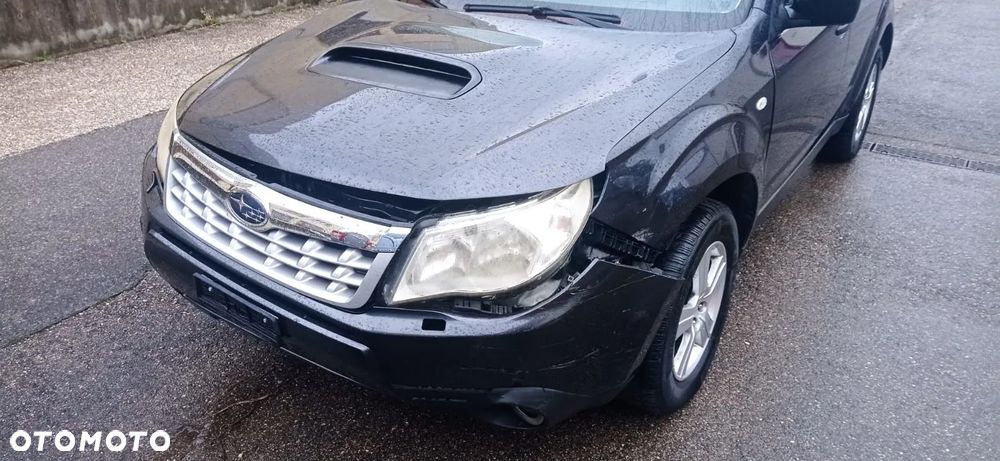 Subaru Forester - 19