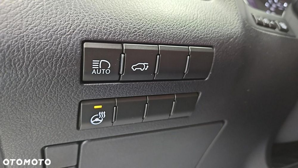 Lexus RX 450h F-Impression - 18