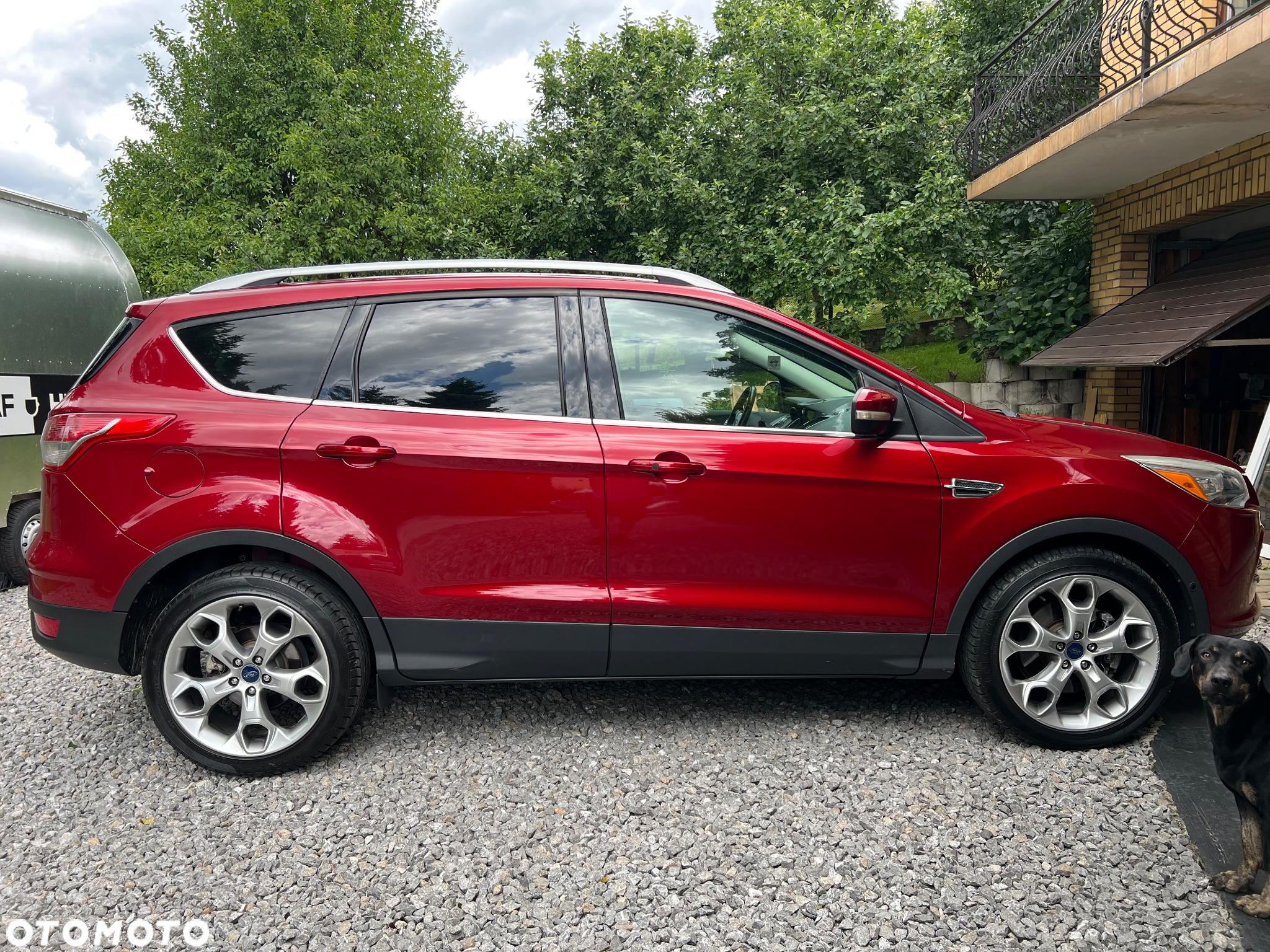 Ford Escape - 6