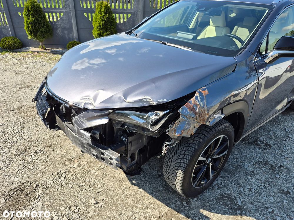 Lexus NX 300 F Impression AWD - 29