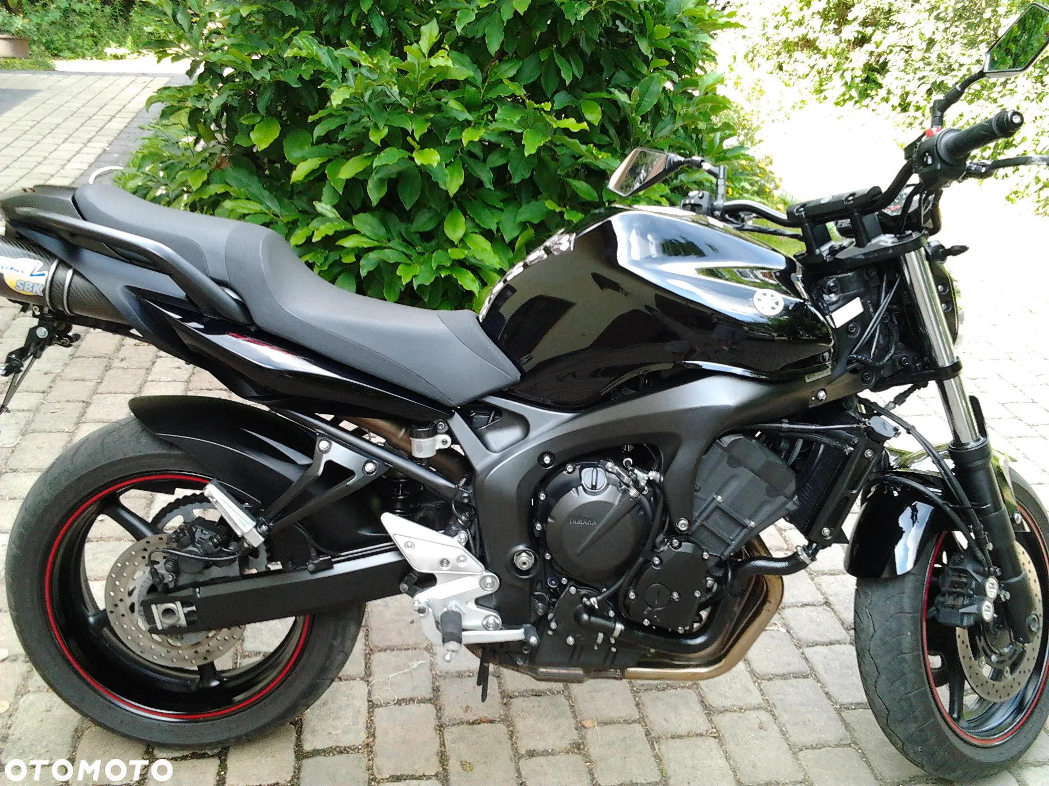 Yamaha FZ6 - 5