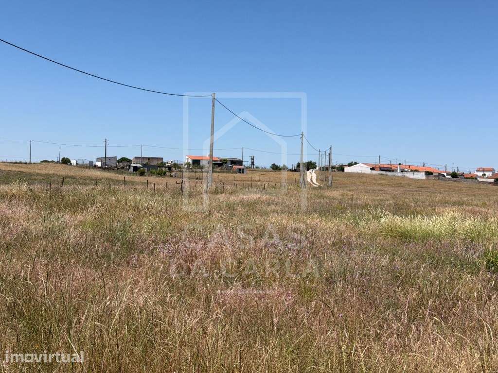 Terreno rústico com 1.8 hectares em Pias - Grande imagem: 2/15