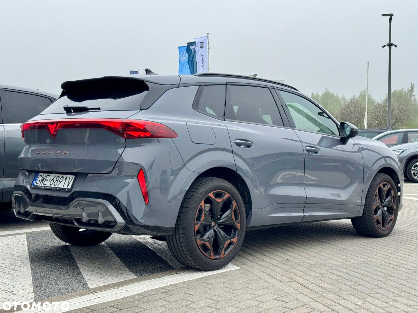 Cupra Terramar - 6