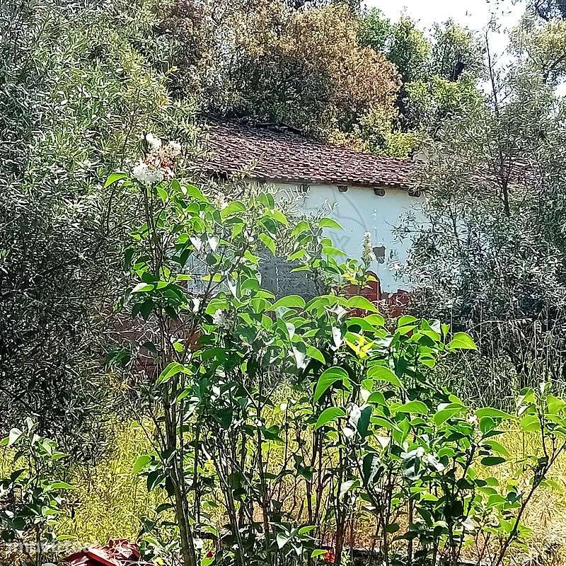 Quinta  para venda - Grande imagem: 4/16