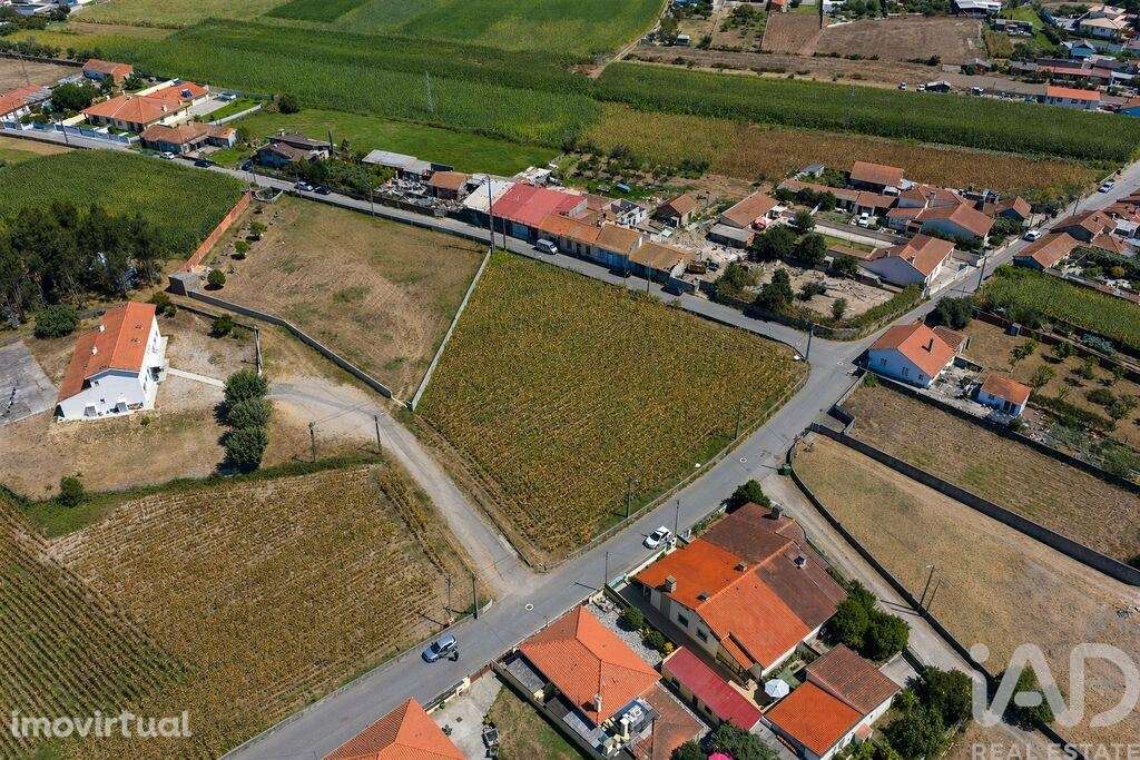 Terreno em Válega - Grande imagem: 2/3
