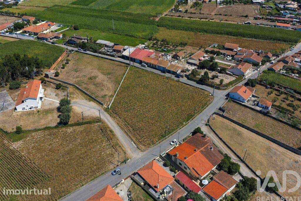 Terreno em Válega - Grande imagem: 2/3