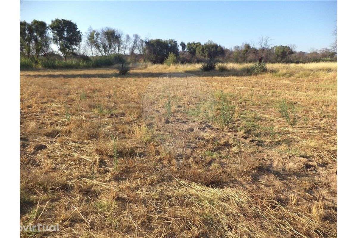 Quinta T0 para venda - Grande imagem: 2/12