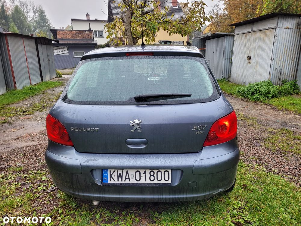 Peugeot 307 - 5