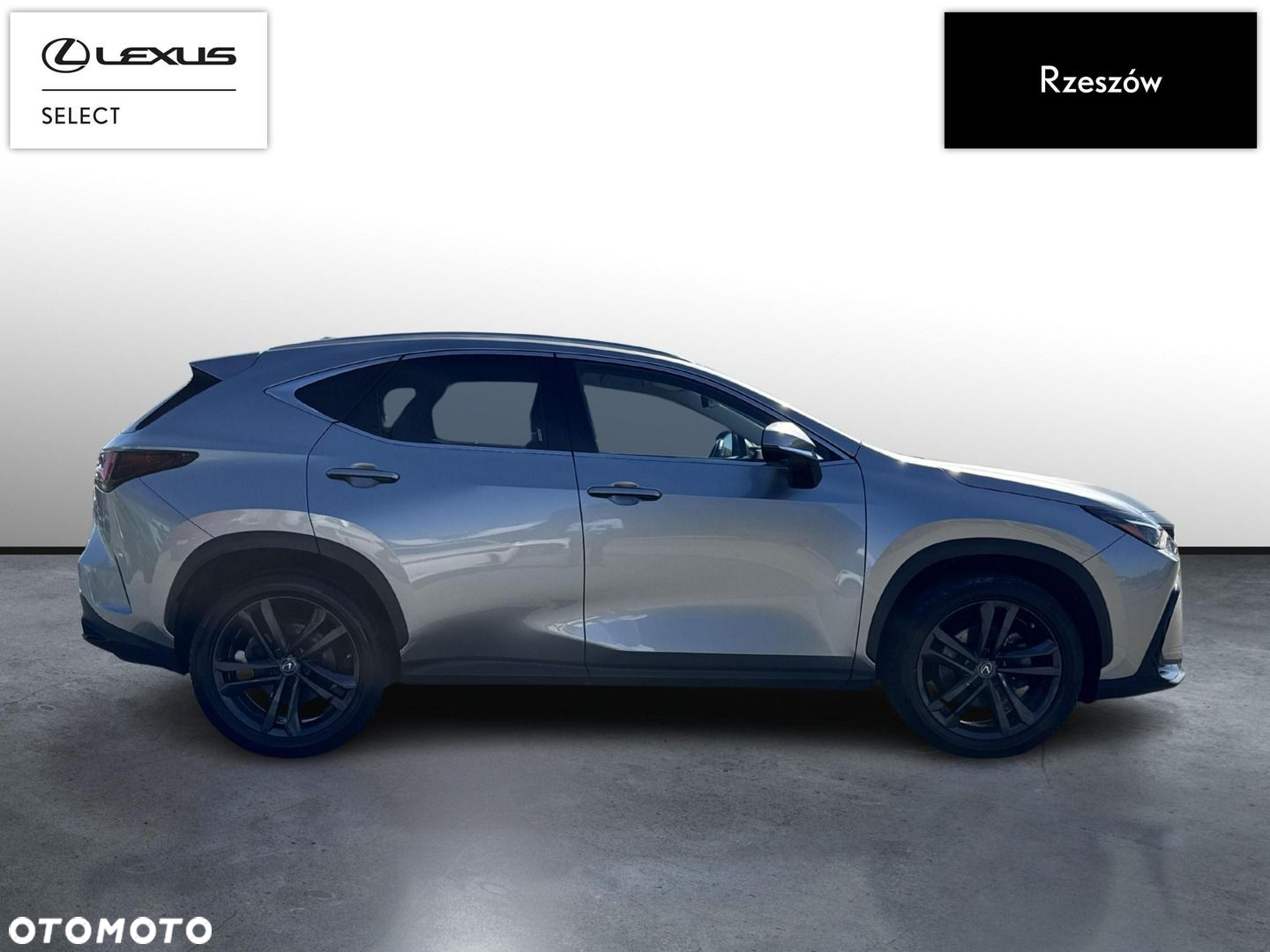Lexus NX 350h Prestige AWD - 6