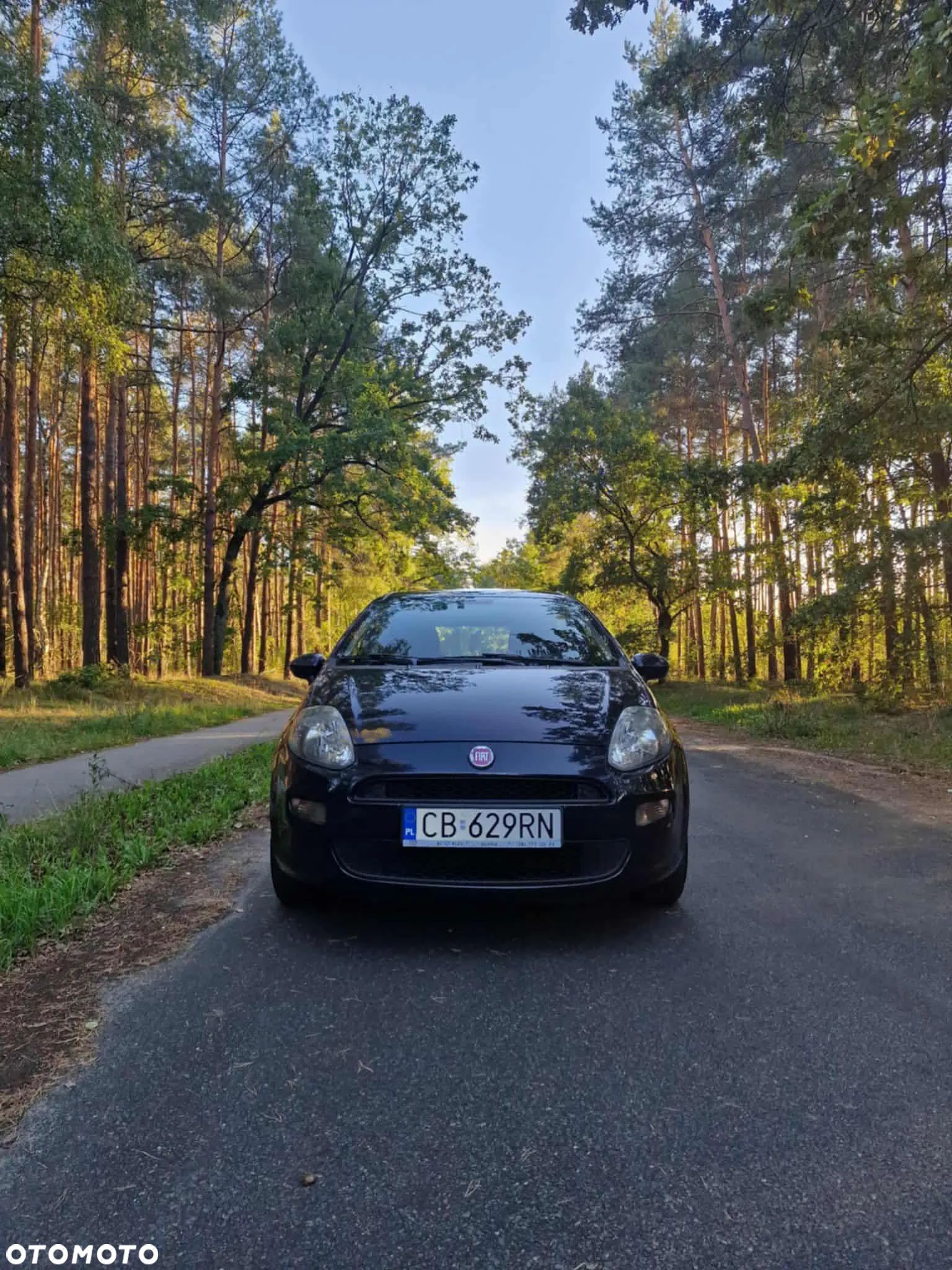 Fiat Punto 1.4 Easy S&S - 1