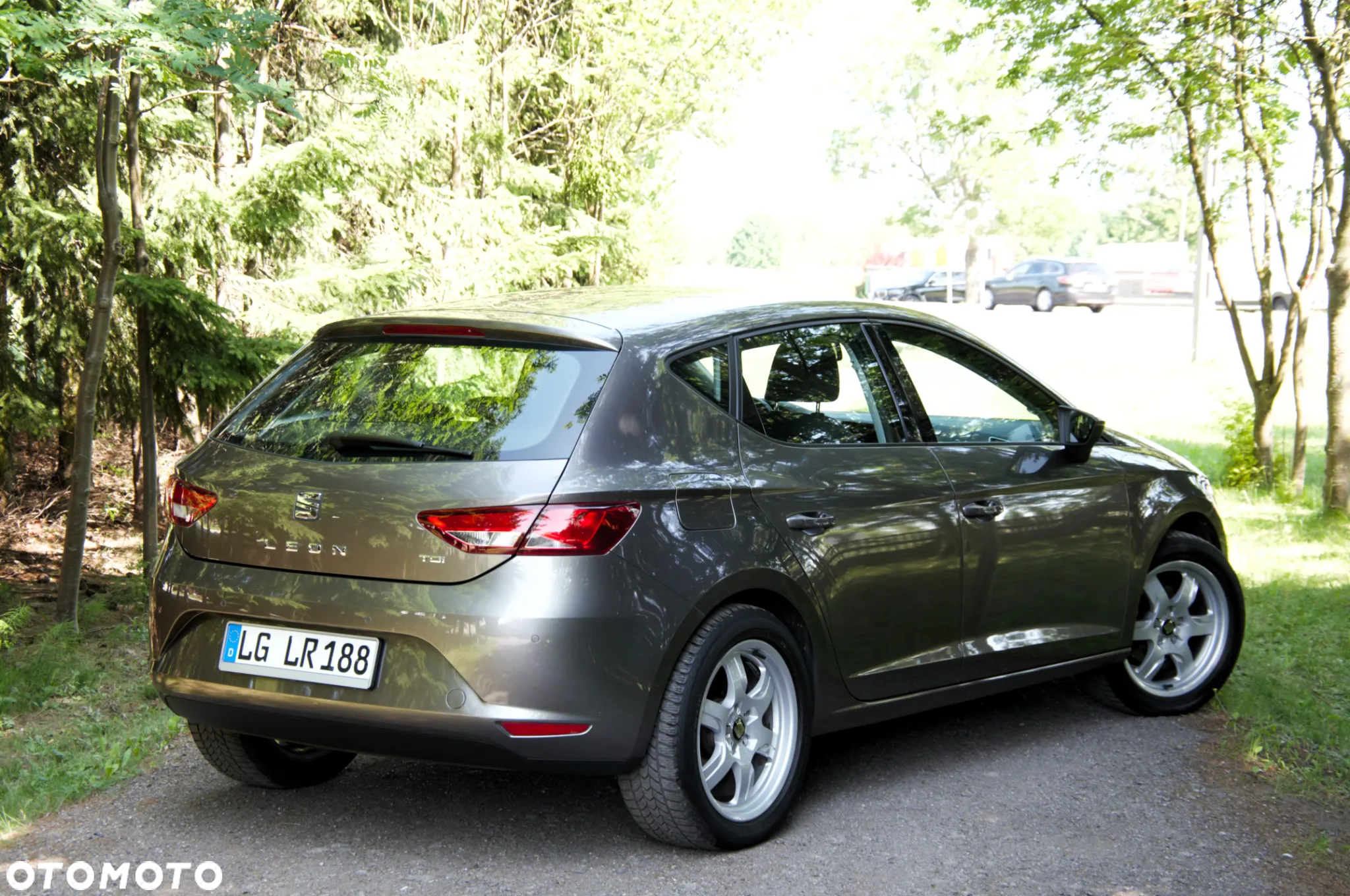 Seat Leon 1.6 TDI DPF Ecomotive Reference - 25