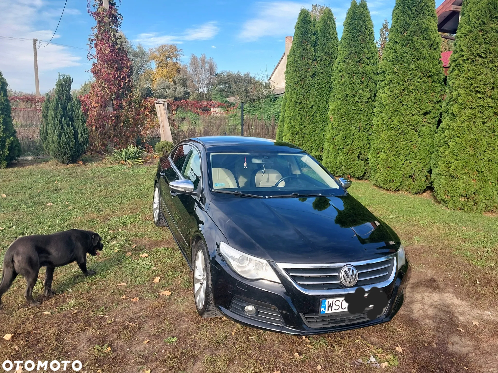 Volkswagen CC - 2