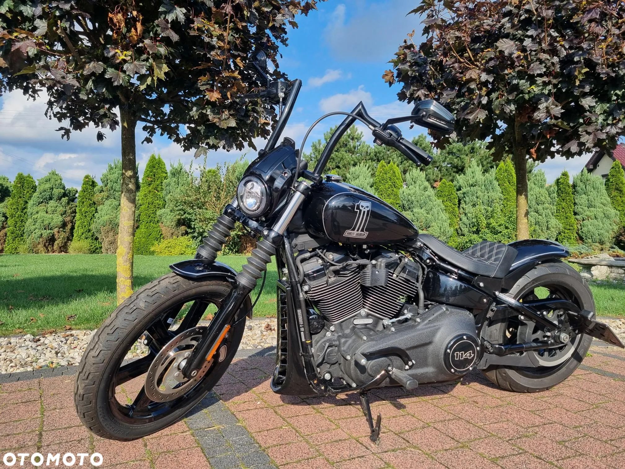 Harley-Davidson Softail Custom - 1